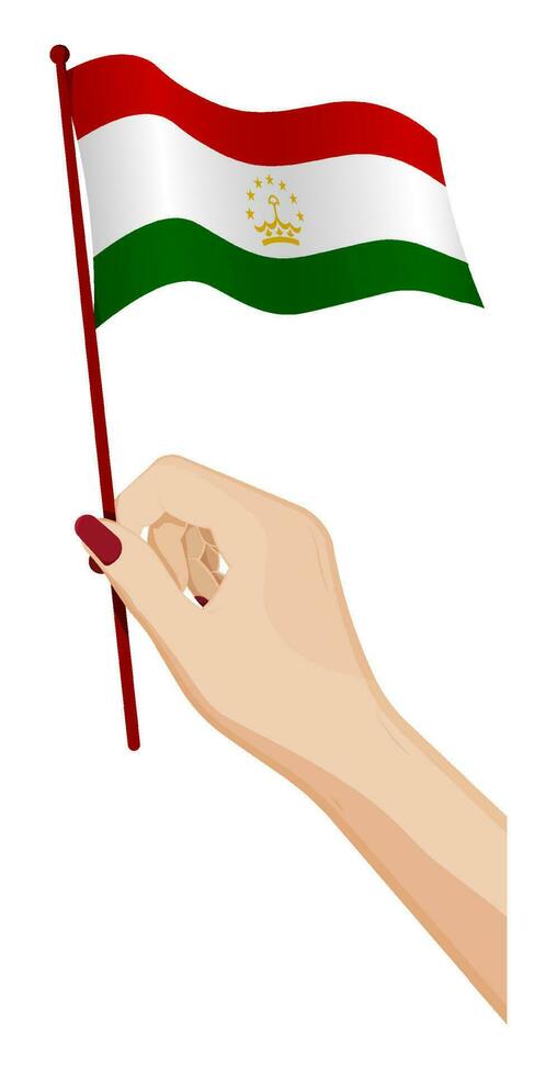 Female hand gently holds small flag of Tajikistan. Holiday design element. Cartoon vector on white background