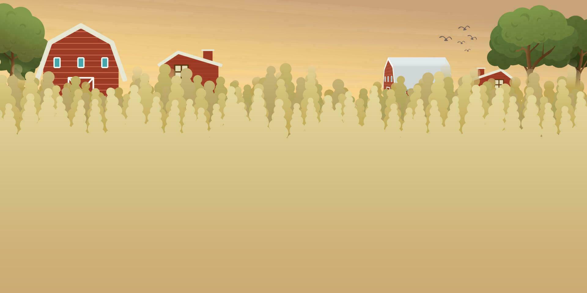 Sunset at rural farm and village landscape vector illustration with blank space. Wheat field flat design for eco or daily products advertisement.