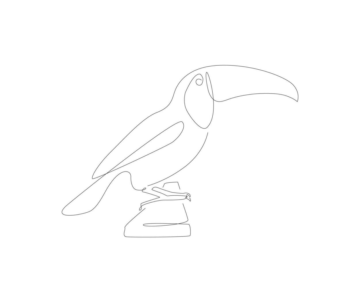 Pelican one line art. Unusual bird single linear art. Vector illustration. Birds outline.