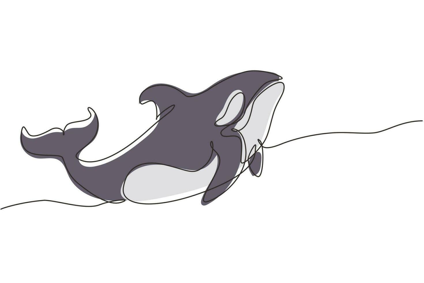 Single continuous line drawing whale killer in water. Orca in swimming pool. Wild whale killer fish swimming in sea life. Orca in under ocean water. One line draw graphic design vector illustration