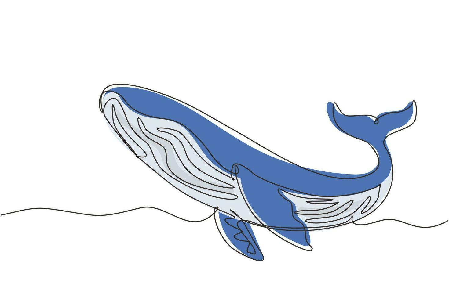 Continuous one line drawing wild whale fish swimming in sea life. Marine animal digital concept. Blue whale and scuba diver under ocean water. Single line draw design vector graphic illustration
