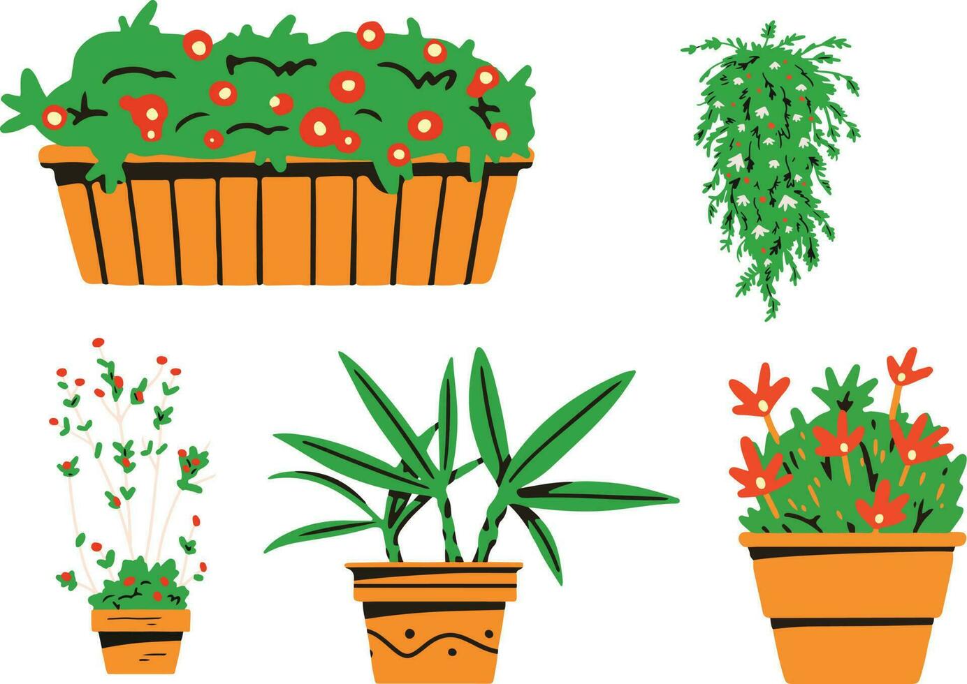 Set of different potted plants. Vector illustration isolated on white background.