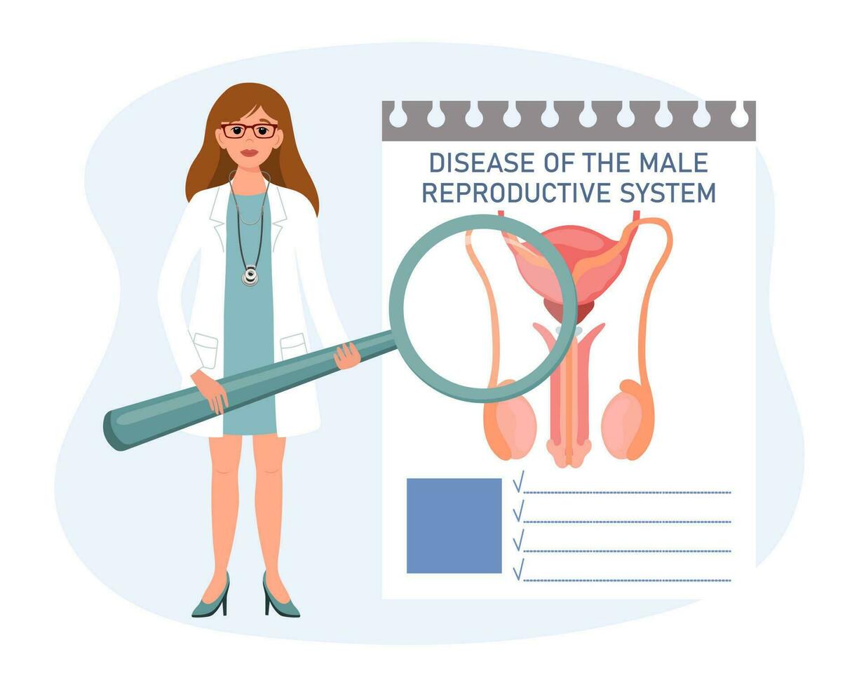 hembra médico con un aumentador vaso examina el enfermedad de el masculino reproductivo sistema, médico diagnóstico. el concepto de Ciencias y medicamento. vector