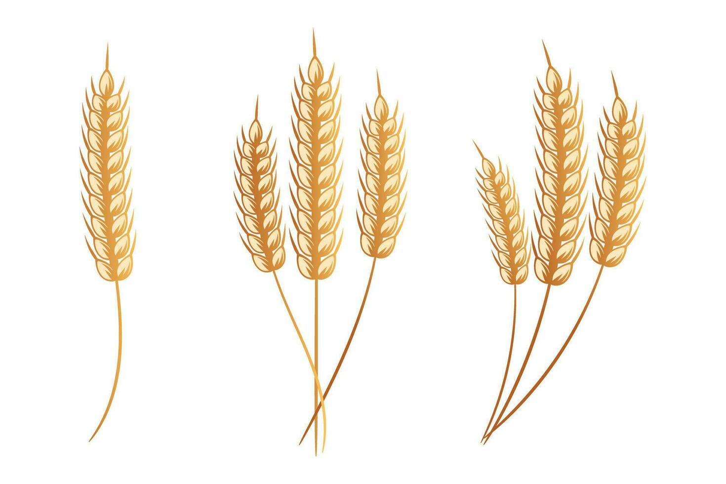 Set of logos from spikelets of wheat, rye, barley, golden design. Decor elements, icons, vector