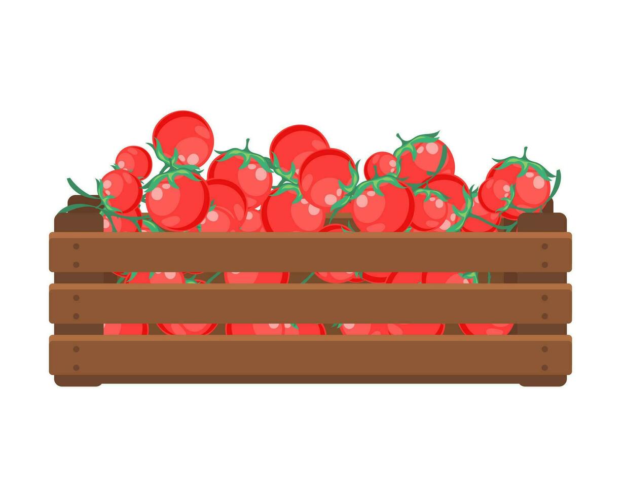 Wooden box with tomatoes. Healthy food, vegetables, agriculture illustration, vector