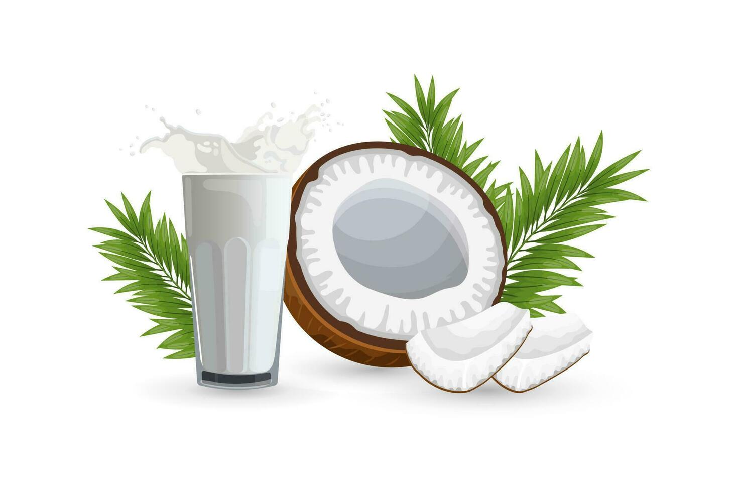 Coconut, half a coconut, pieces of coconut and a glass of milk with splashes on a white background. Illustration, vector