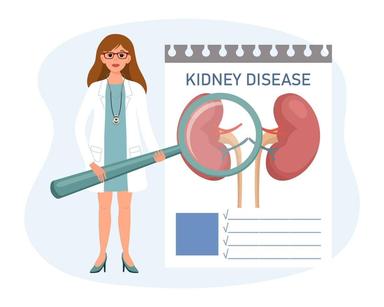 Female doctor with a magnifying glass examines the human kidney disease, urinary system. The concept of science and medicine. Vector