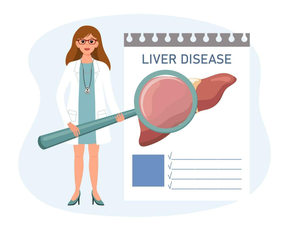 un hembra médico con un aumentador vaso examina un humano hígado enfermedad. el concepto de Ciencias y medicamento. vector