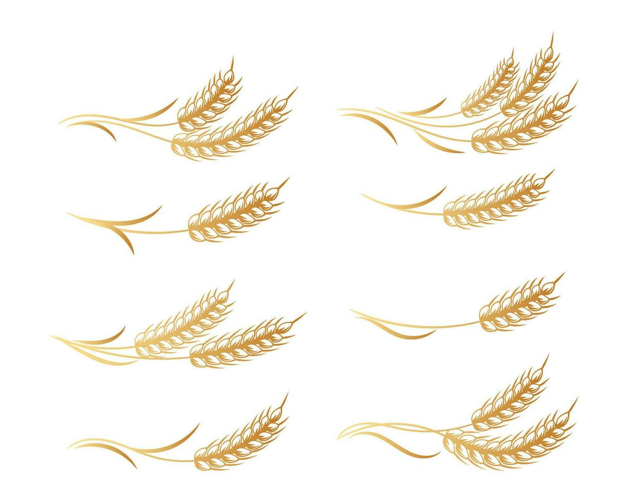 Set of logos from spikelets of wheat, rye, barley, golden design. Decor elements, icons, vector