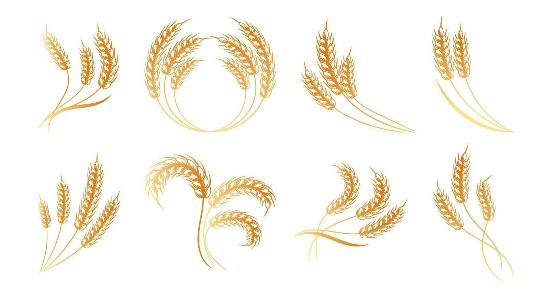 Set of logos from spikelets of wheat, rye, barley, golden design. Decor elements, icons, vector