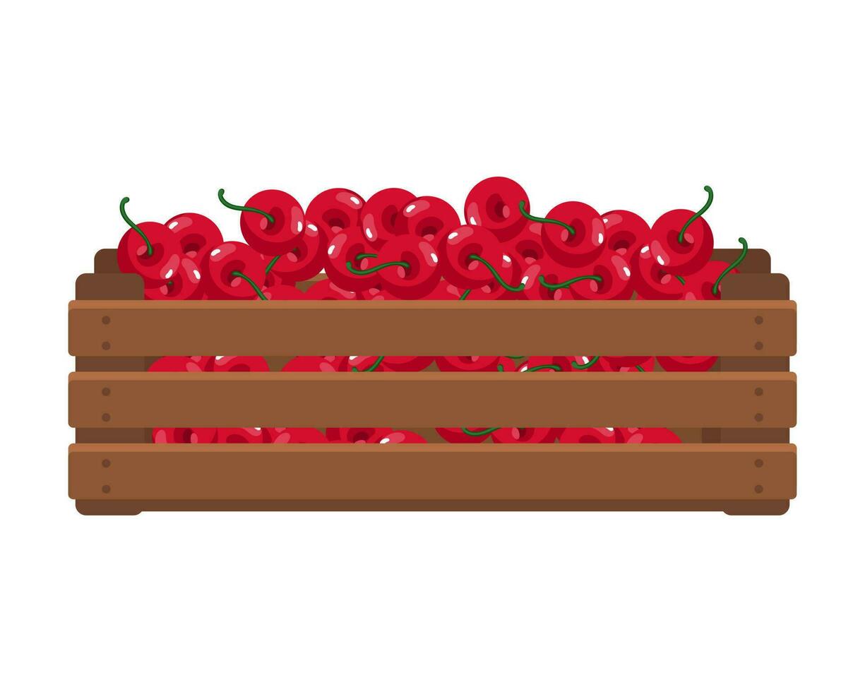 Wooden box with ripe cherries. Healthy food, fruits, agriculture illustration, vector