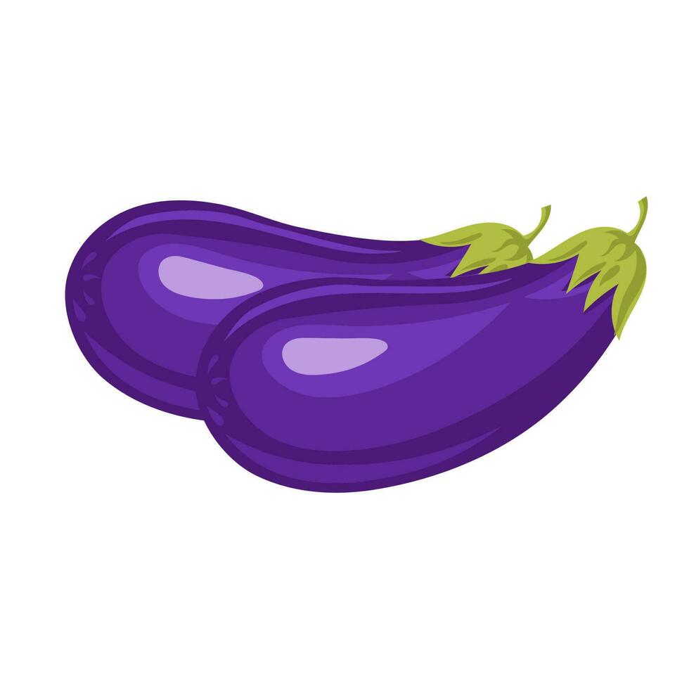 Eggplant on a white background. Vegetables illustration, clipart