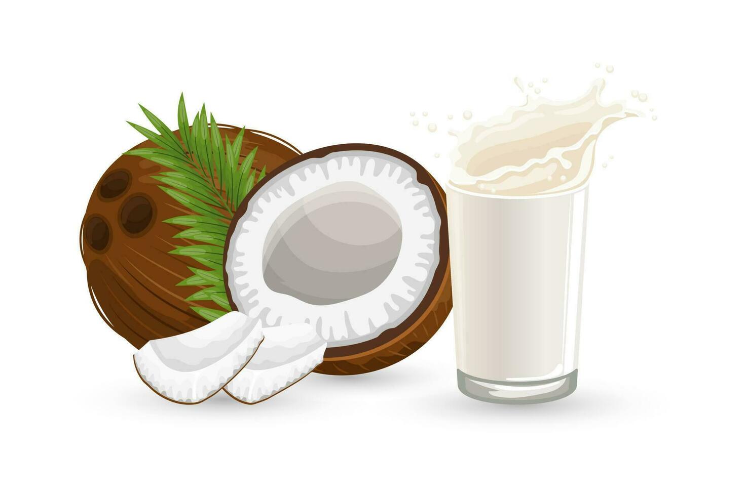 Coconut, half a coconut, pieces of coconut and a glass of milk with splashes on a white background. Illustration, vector