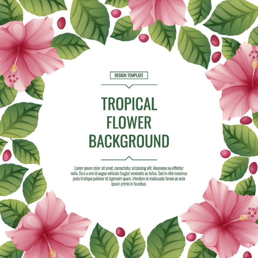 Square tropical background with pink hibiscus flowers. Poster, placard, banner, flyer with tropical plants. summer flower illustration vector