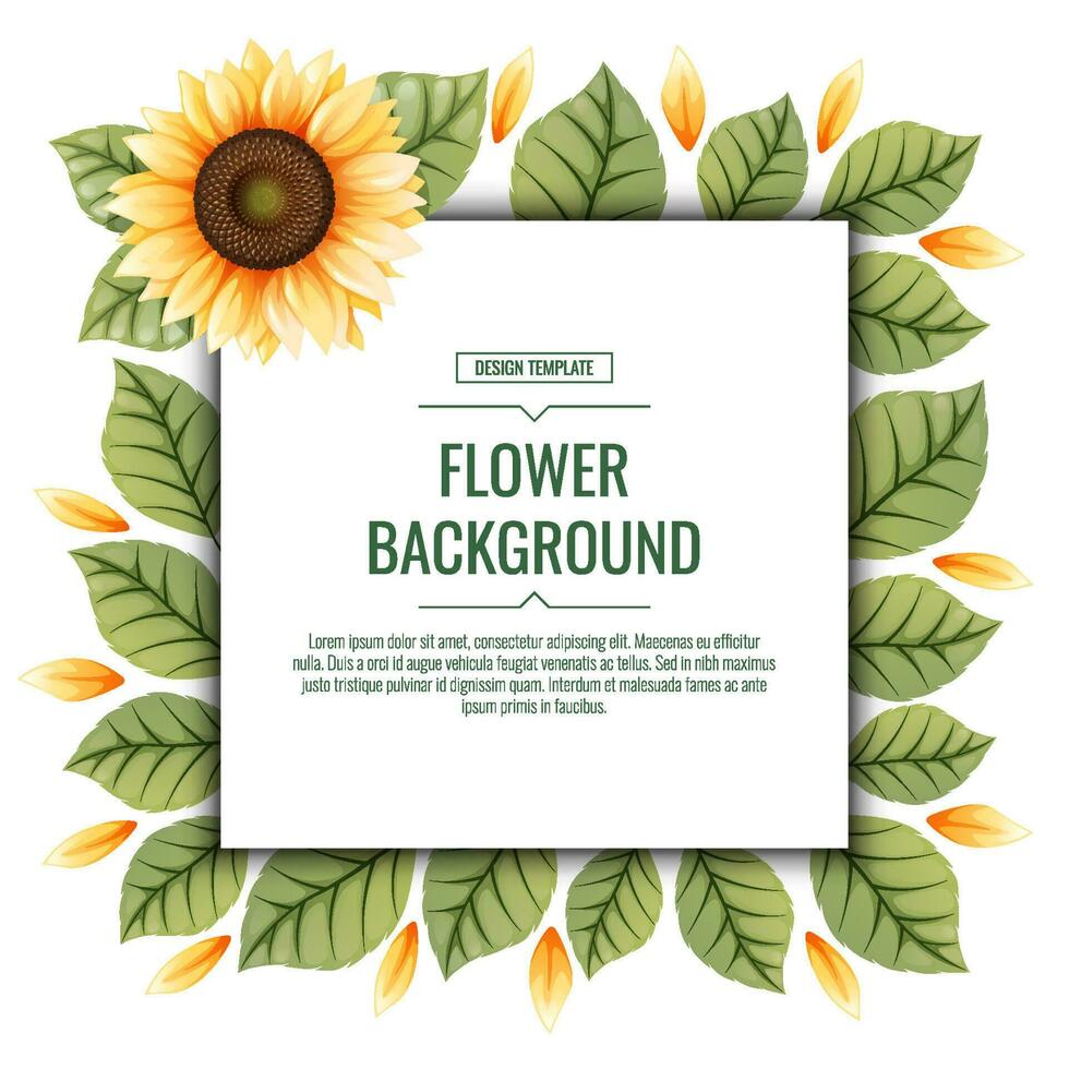 Square background with sunflowers. Floral frame with yellow flowers and green leaves. Banner, poster, flyer, postcard. Summer illustration. vector