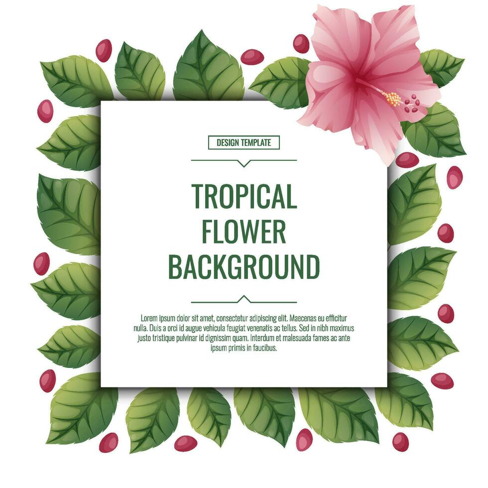 Square tropical background with pink hibiscus flowers. Poster, placard, banner, flyer with tropical plants. summer flower illustration vector