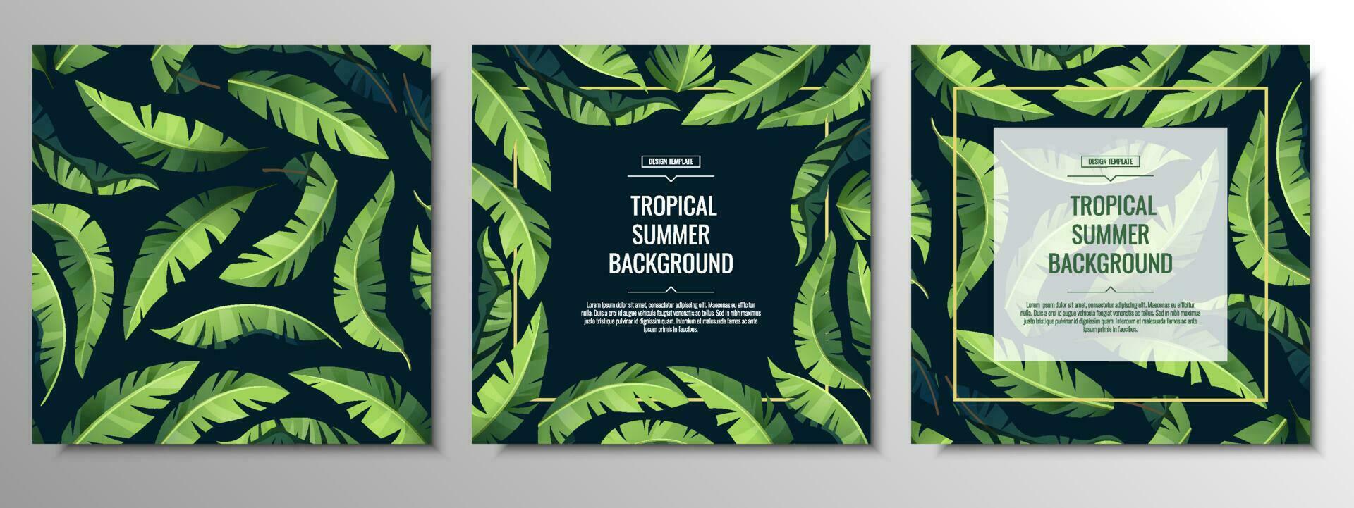 conjunto de tropical tarjetas, pancartas, antecedentes, volantes con verde palma hojas. verano ilustración para impresión invitaciones, tarjetas, etc vector