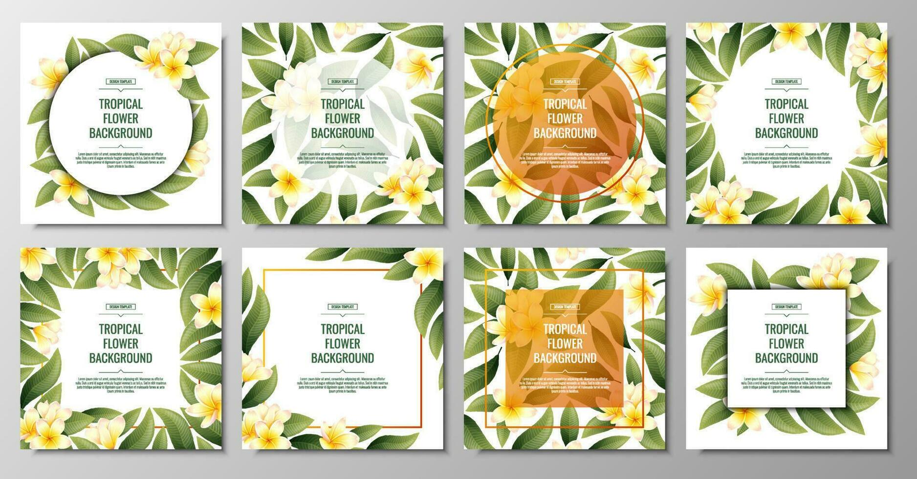 Set of square backgrounds with yellow plumeria flowers. Tropical frangipani plant. Banner, poster, flyer, postcard. Summer illustration vector