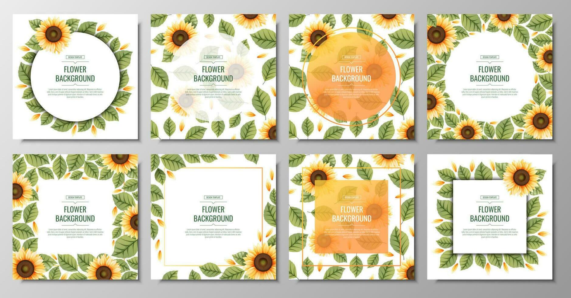 Set of square backgrounds with sunflowers. Floral frame with yellow flowers and green leaves.. Banner, poster, flyer, postcard. Summer illustration vector