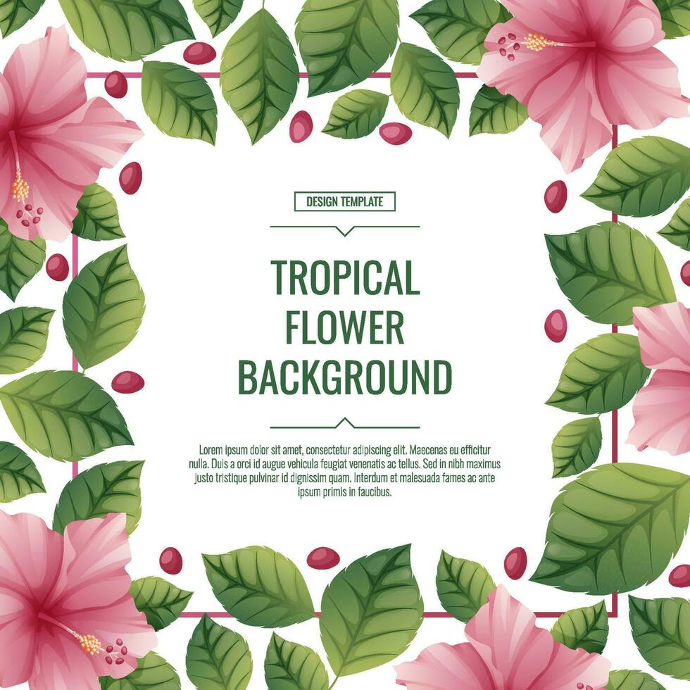 Square tropical background with pink hibiscus flowers. Poster, placard, banner, flyer with tropical plants. summer flower illustration vector