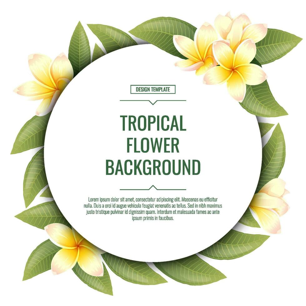 Square background with plumeria flowers. Tropical frangipani plant. Banner, poster, flyer, postcard. Summer illustration. vector