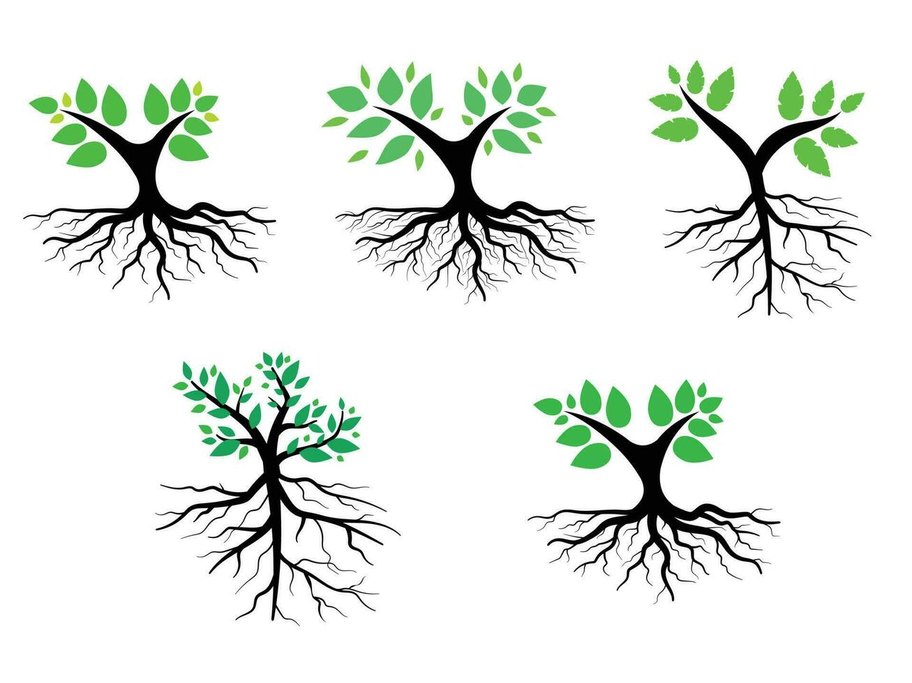 árbol y raíces con verde hojas Mira hermosa y refrescante. árbol y raíces logo estilo. vector