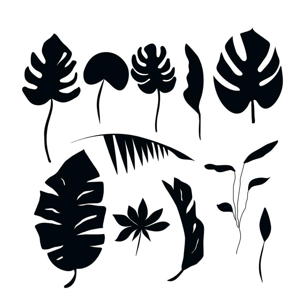 Set black tropical leaf vector