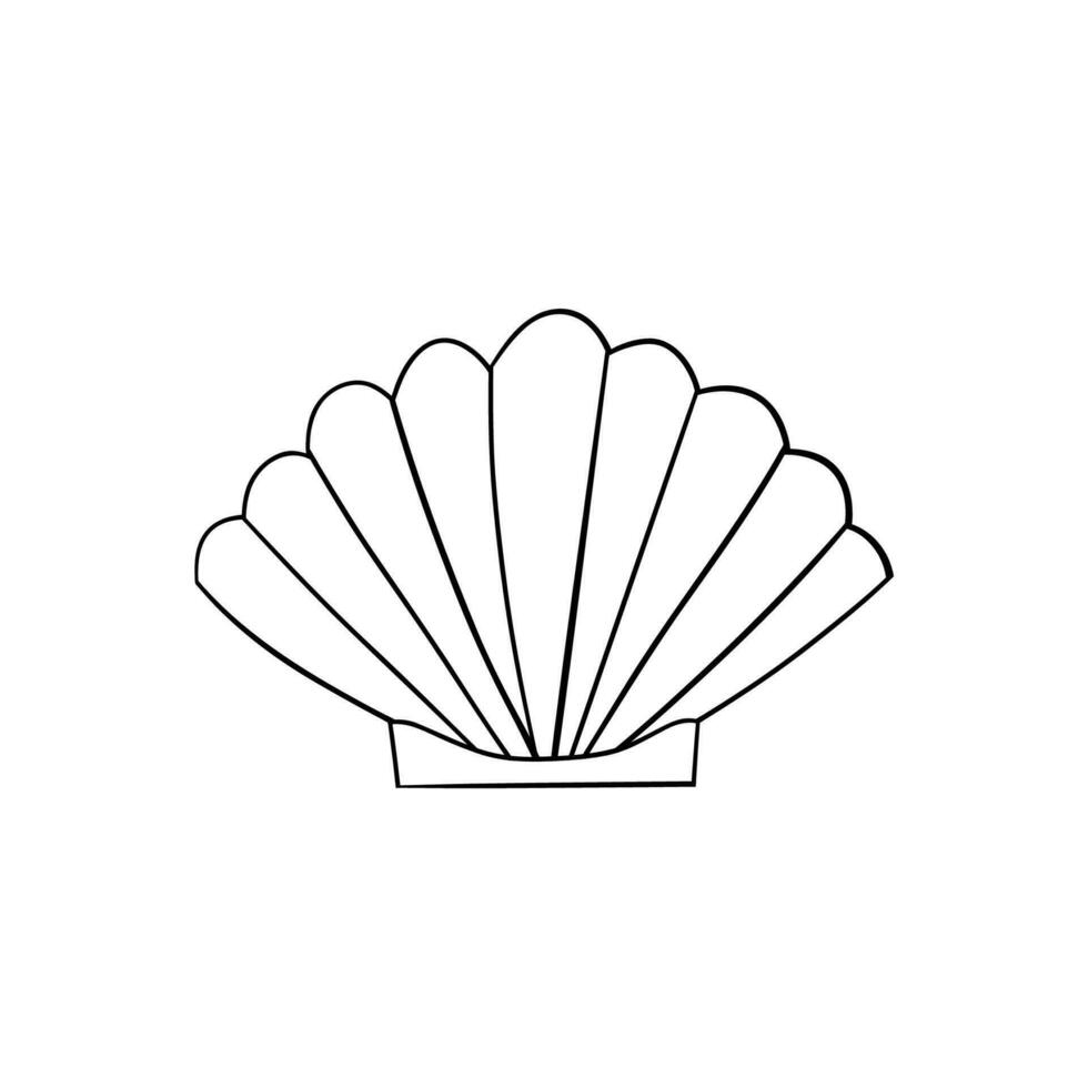 Seashell vector illustration for your design