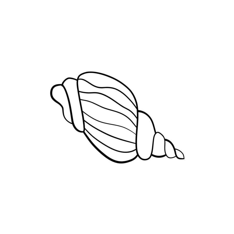 Seashell vector illustration for your design