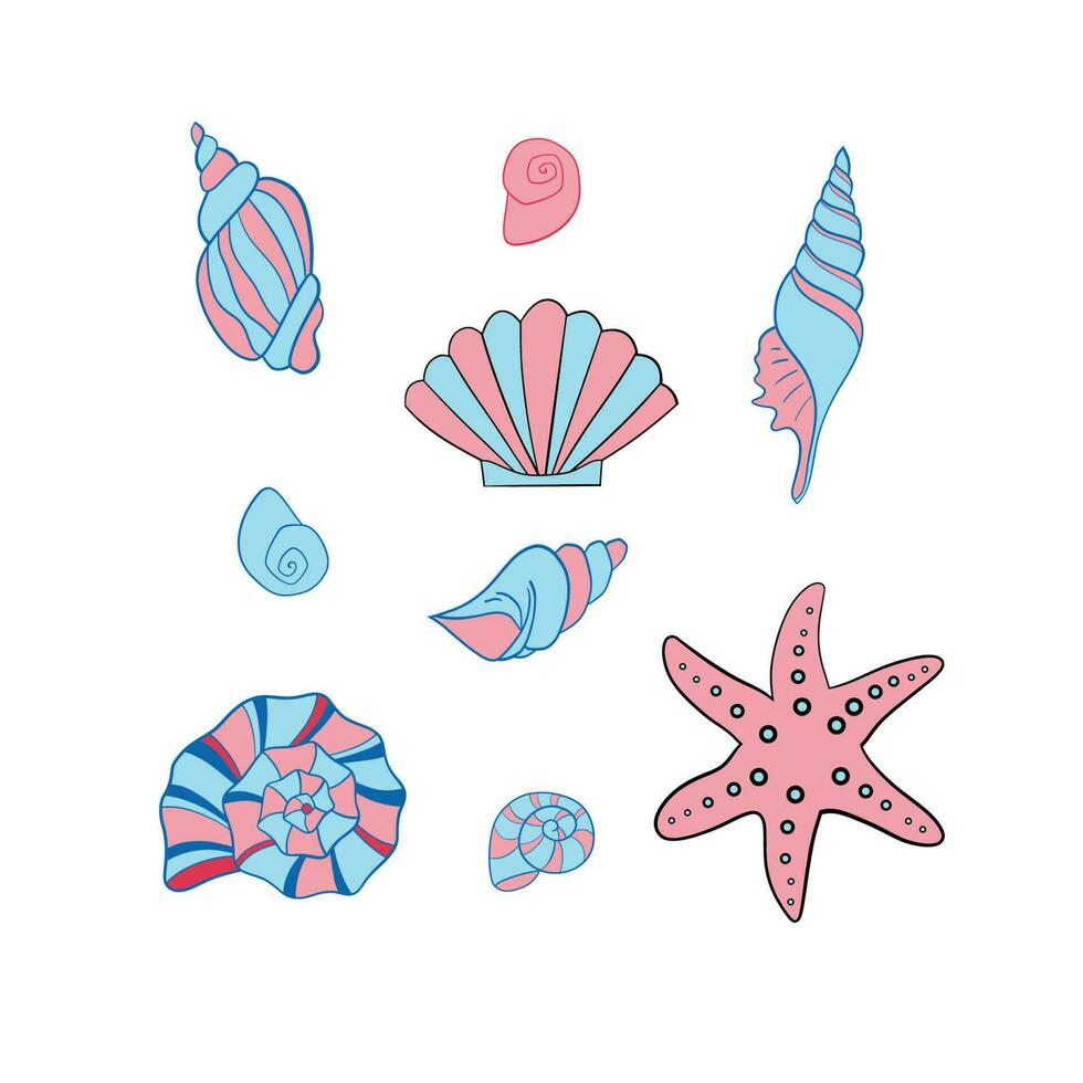 vector ilustración de un conjunto de conchas marinas para tu diseño