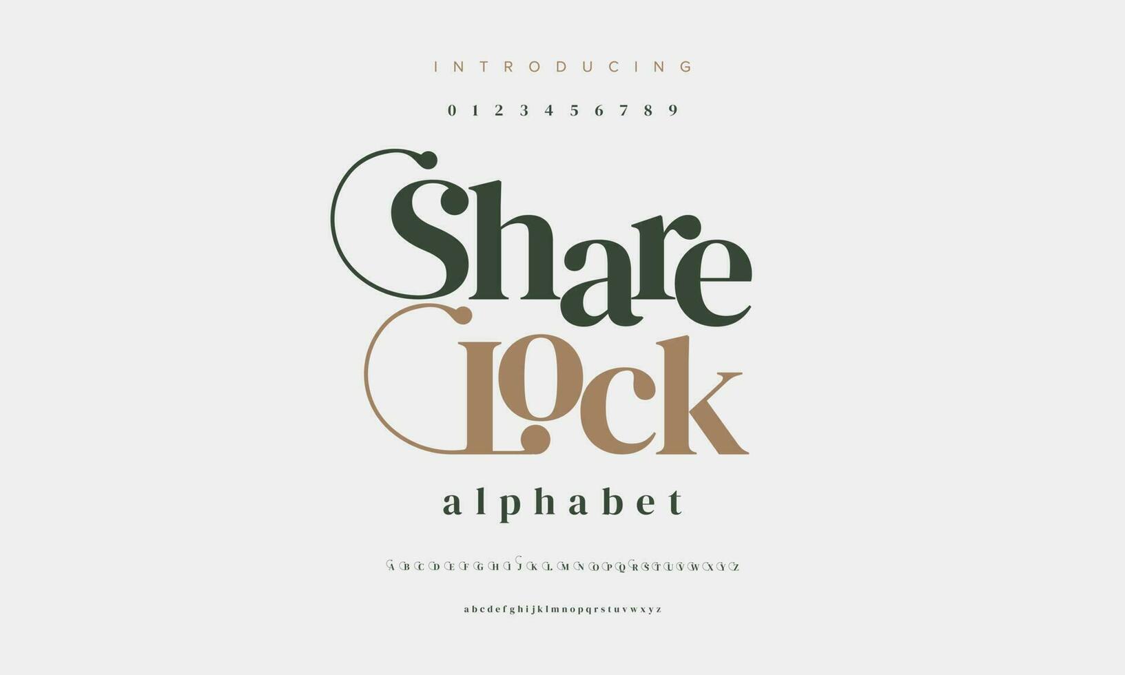 elegante compartirbloquear alfabeto letras fuente y número. clásico letras mínimo Moda diseños tipografía moderno serif fuentes decorativo Clásico diseño concepto. vector ilustración