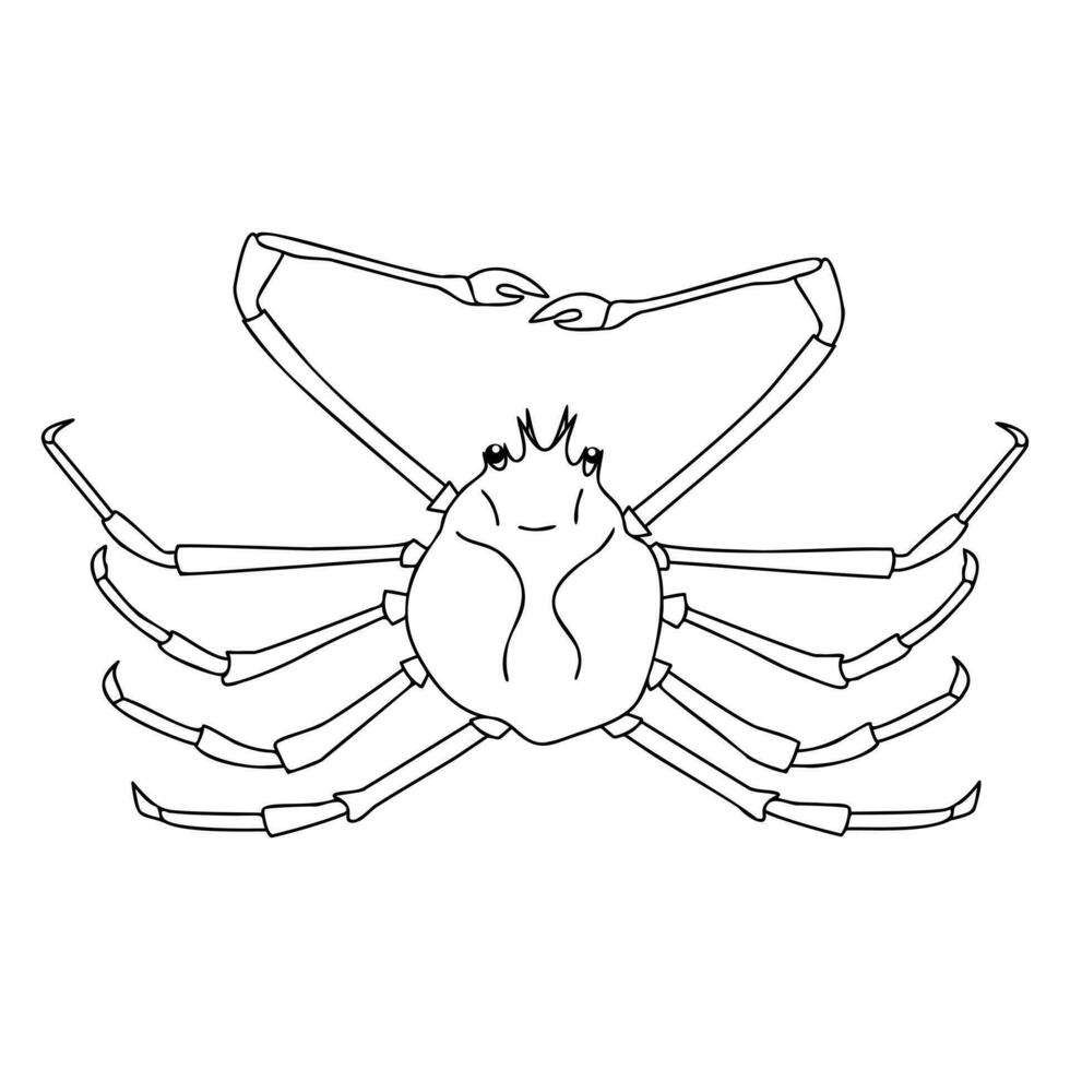 Spider Crab outline illustration on white background vector
