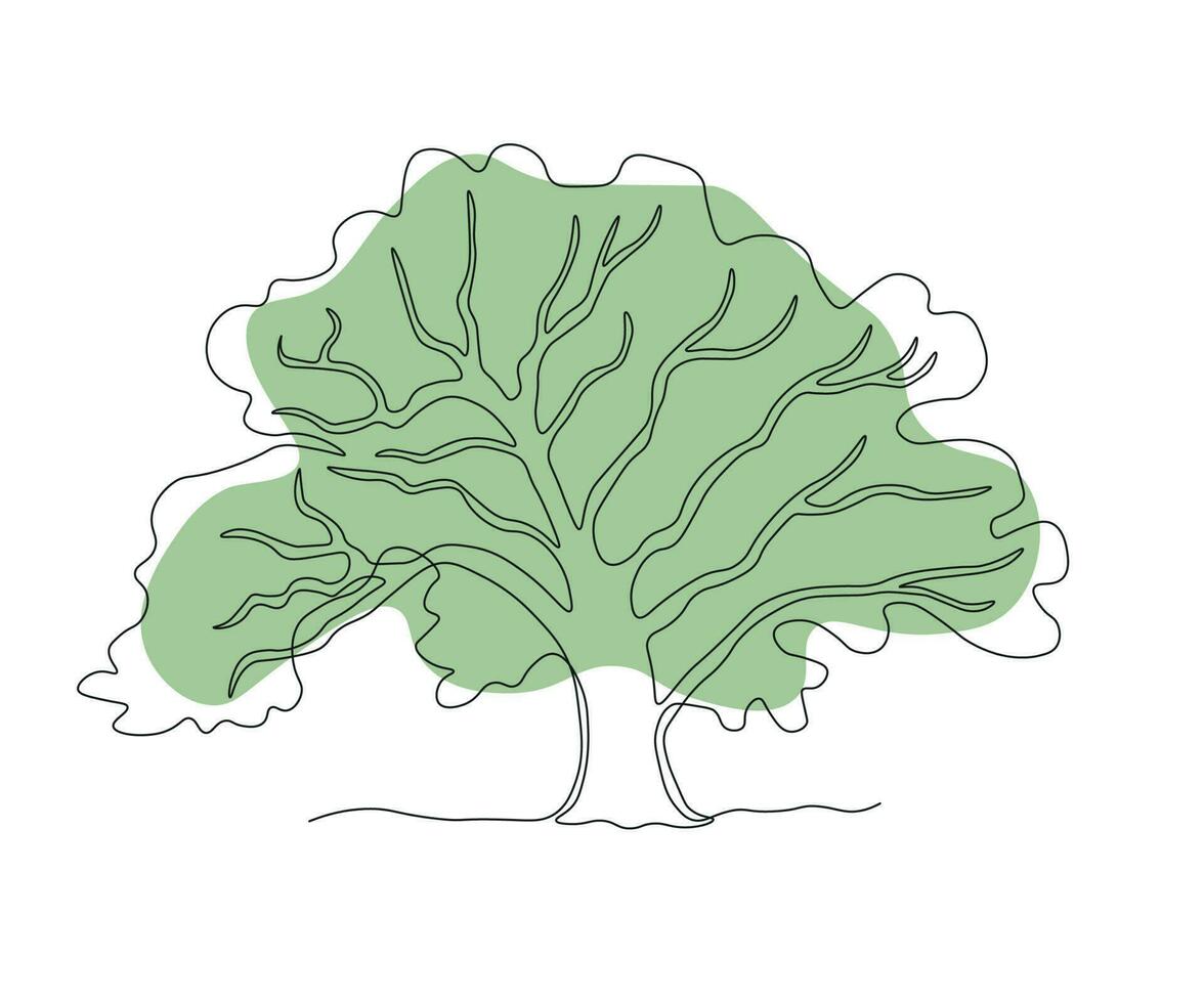 resumen desmadejado derivación árbol , roble continuo uno línea dibujo vector