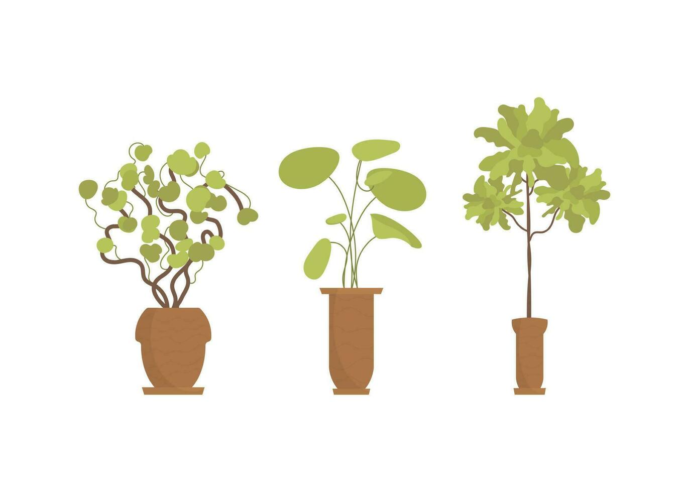 A set of plants in pots for the home. Isolated. Flat style. vector