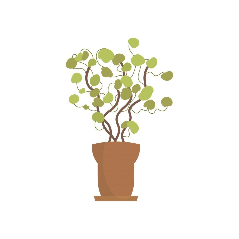 Decorative indoor plant. Isolated. Flat style. vector