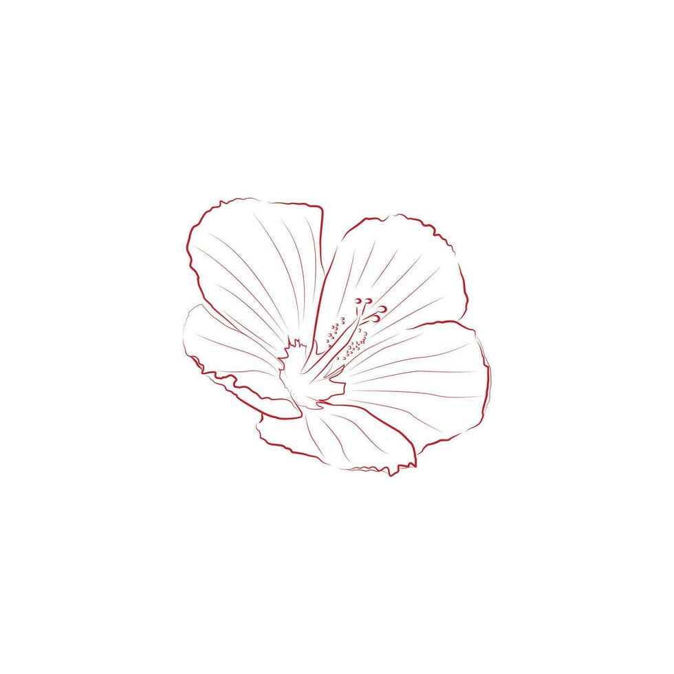 A vector image of a Hibiscus flower made in a red line art style