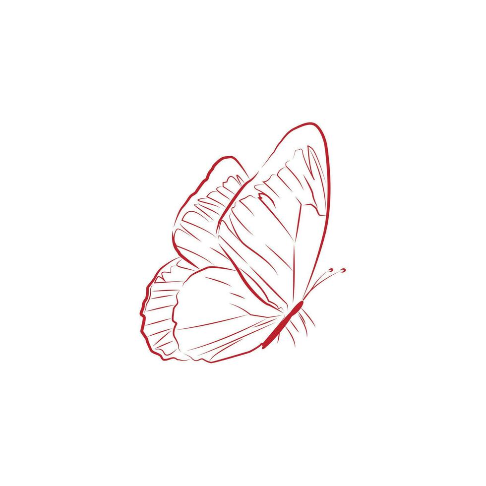 un vector imagen de un hermosa mariposa hecho en un rojo línea Arte estilo