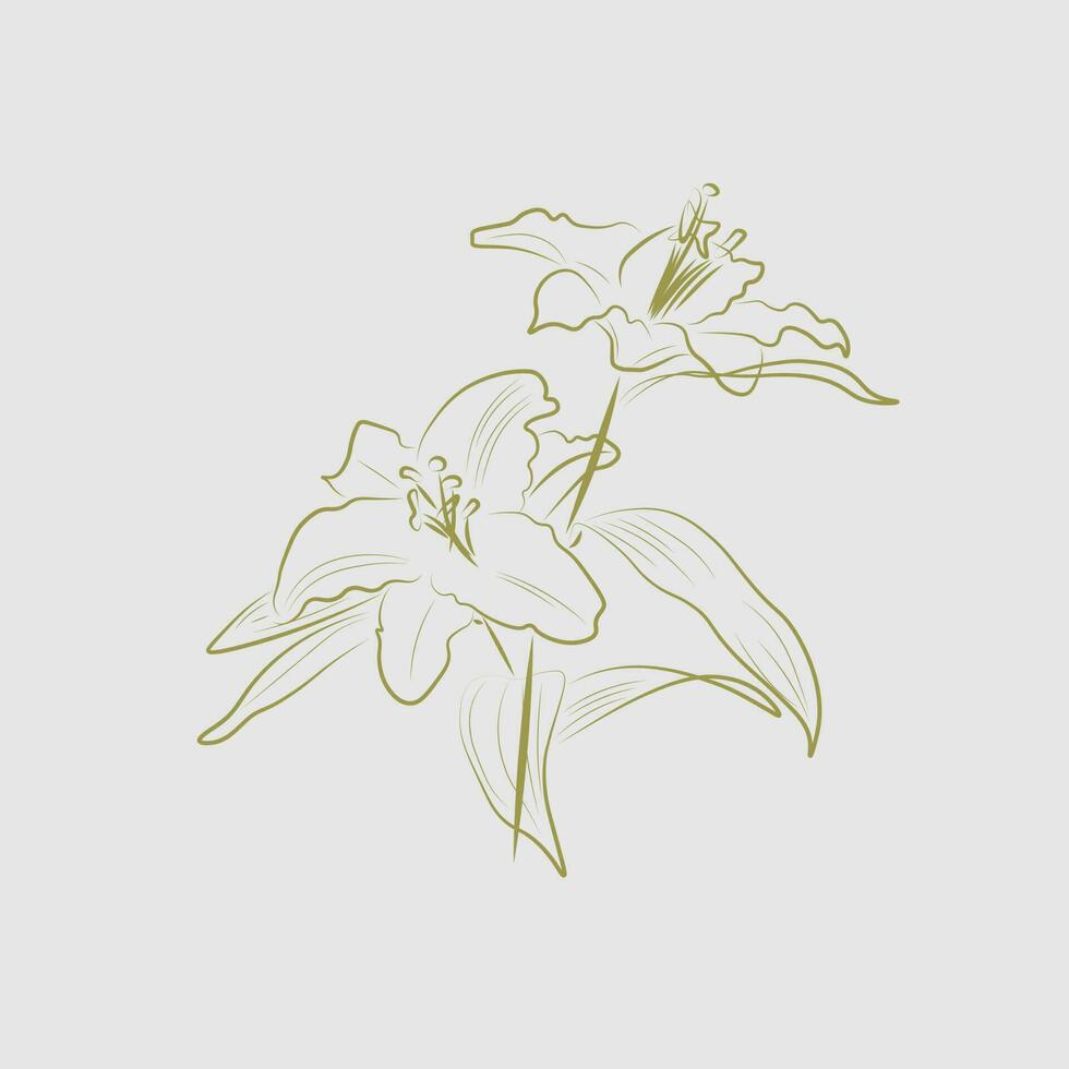 lirio flor línea Arte vector