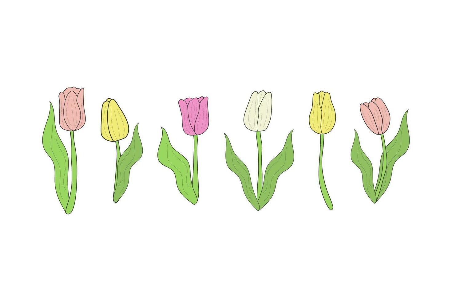 conjunto de tulipanes con hojas de diferente colores amarillo, rosa, blanco. para impresión, collage, bandera, tarjeta postal. vector ilustración