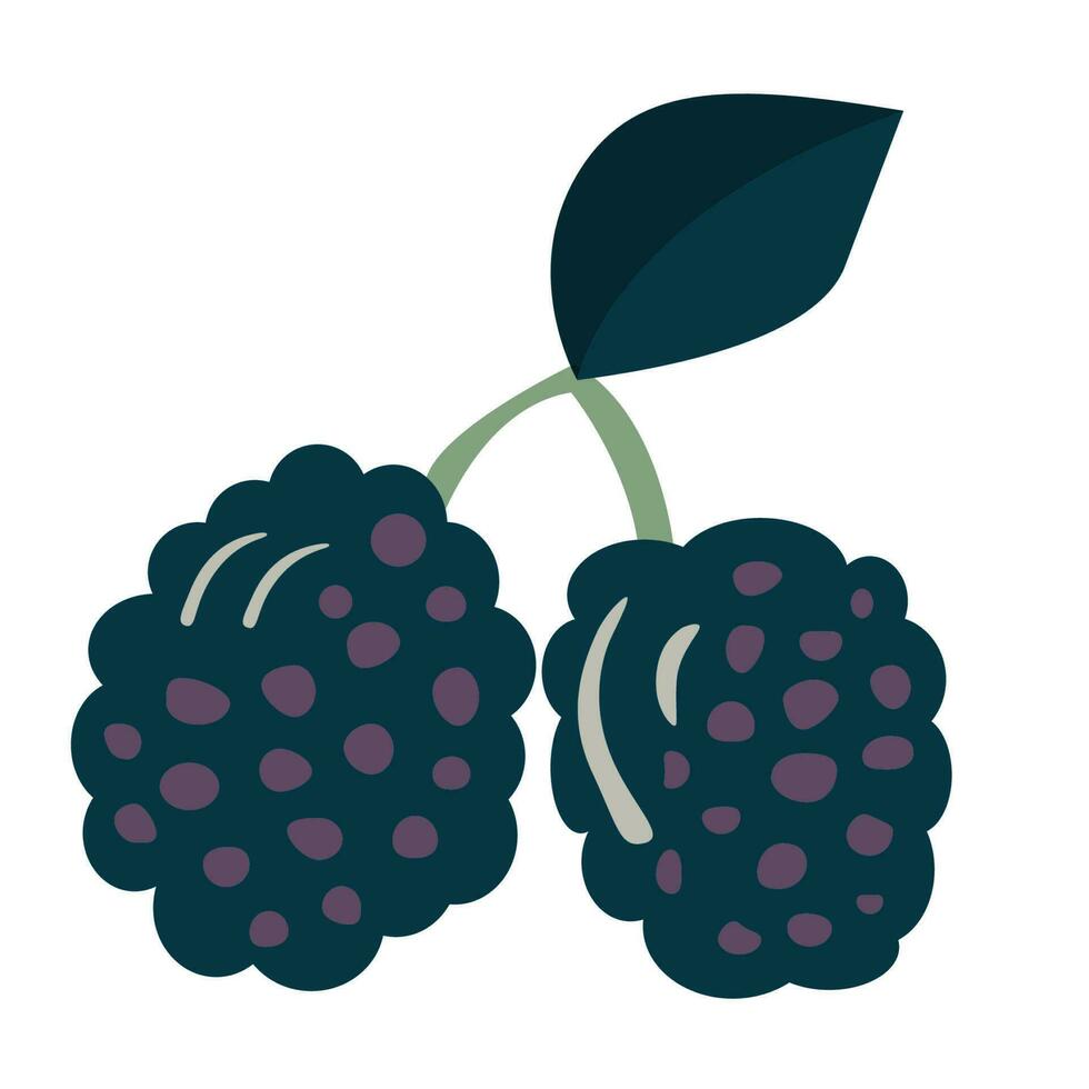 Simple doodle fruits. Simple doodle blueberry. Vector IllustrationVector Illustration EPS10