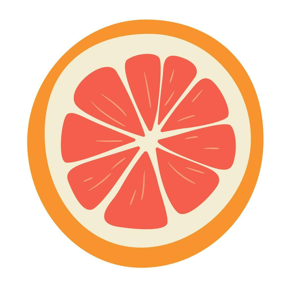 Simple doodle grapefruit. Vector Illustration