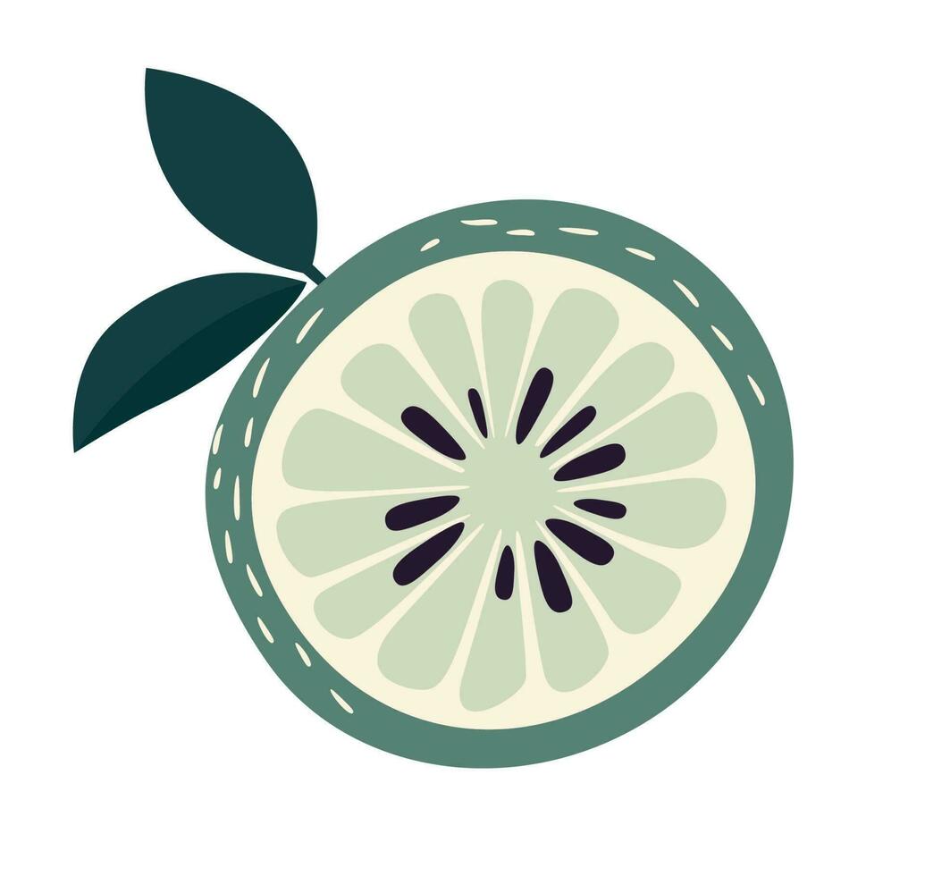 Simple doodle lime. Vector Illustration