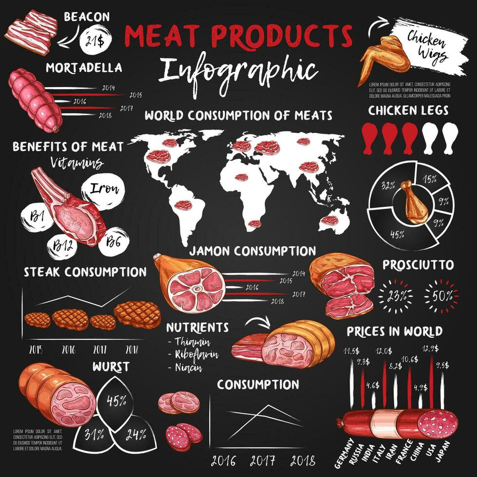 carne y salchicha comida infografía, tiza gráficos vector