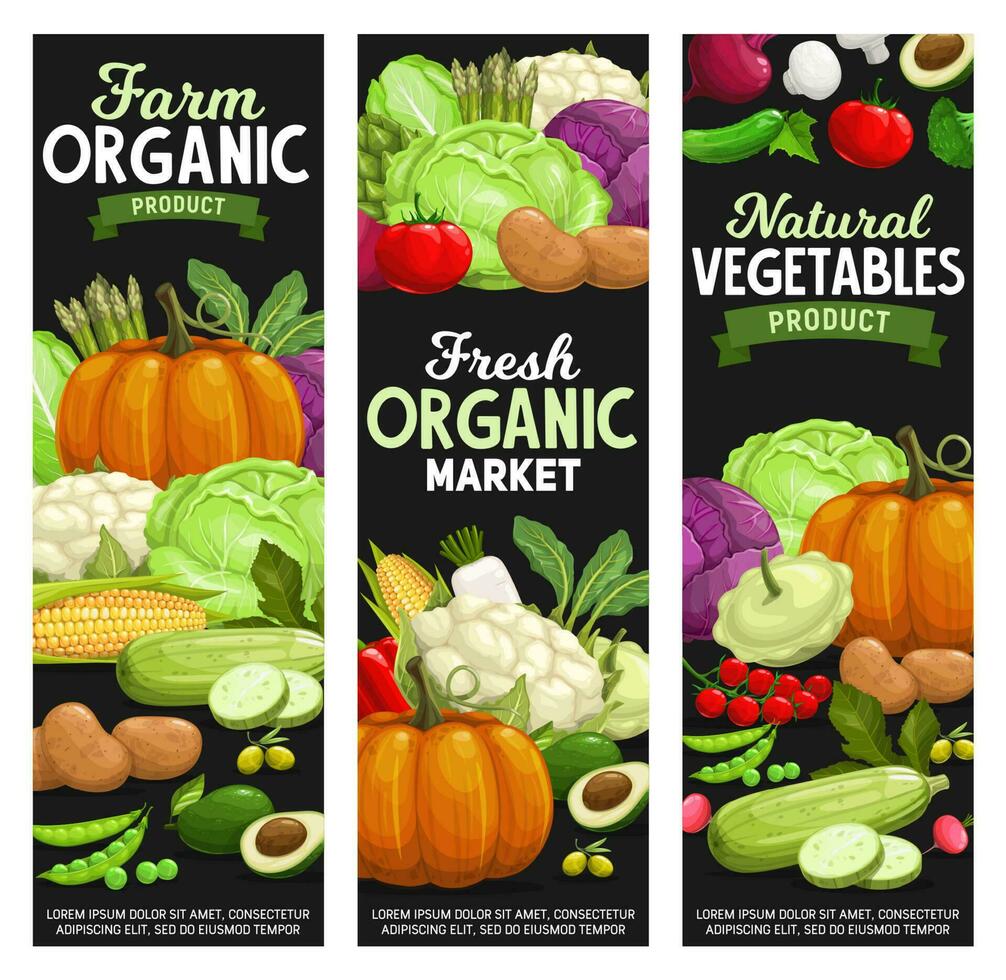 Organic farm food, vegetables and veggies vector