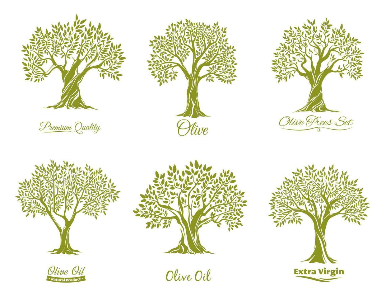 Olive oil, olives and olive trees icons vector