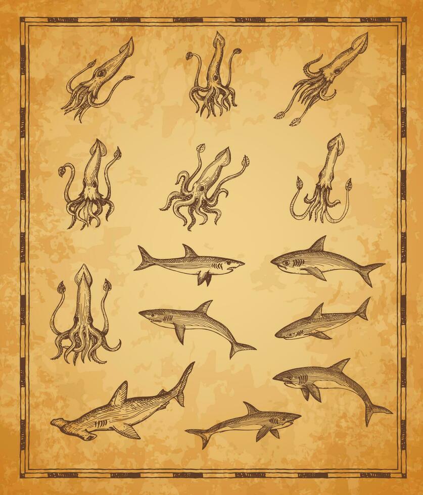 Clásico mapa elementos con calamares y tiburones peces vector