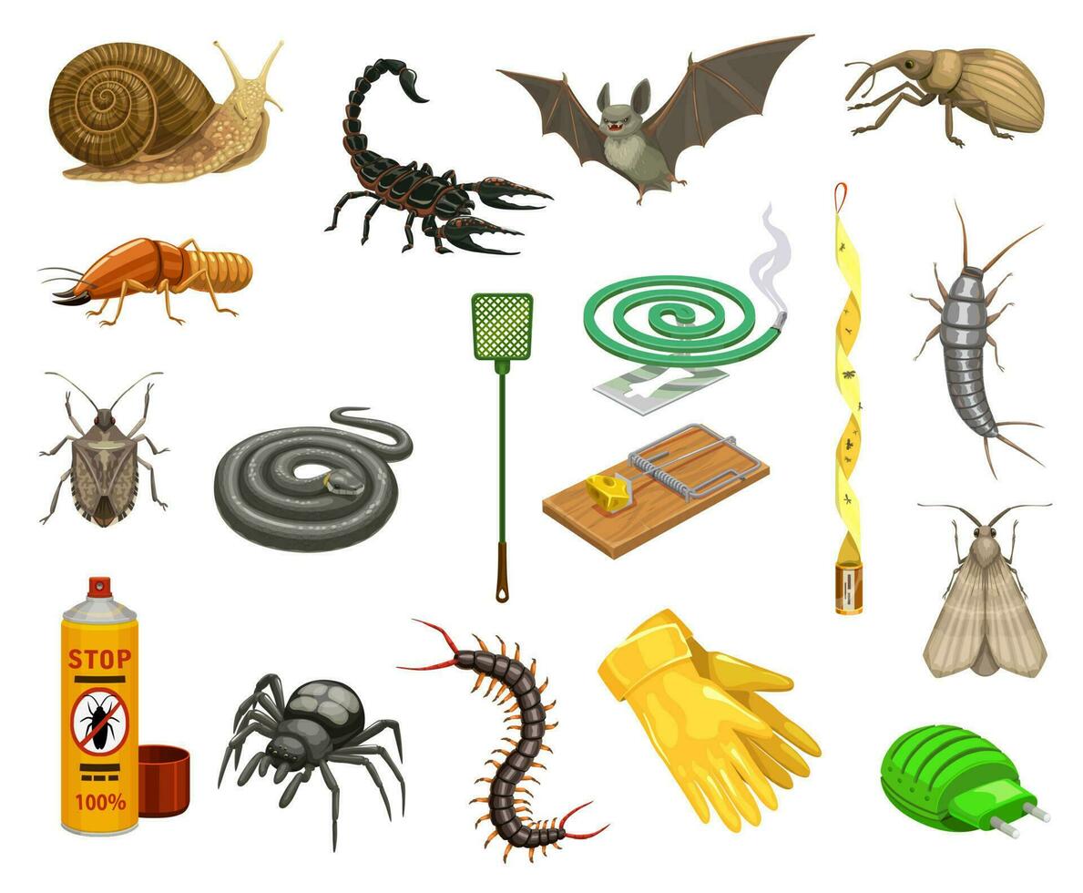 parásito insectos, insectos, animales y insecticida vector