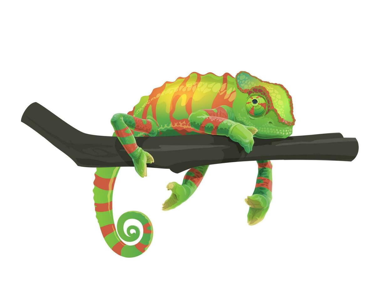 Green chameleon lizard lying on tree branch vector