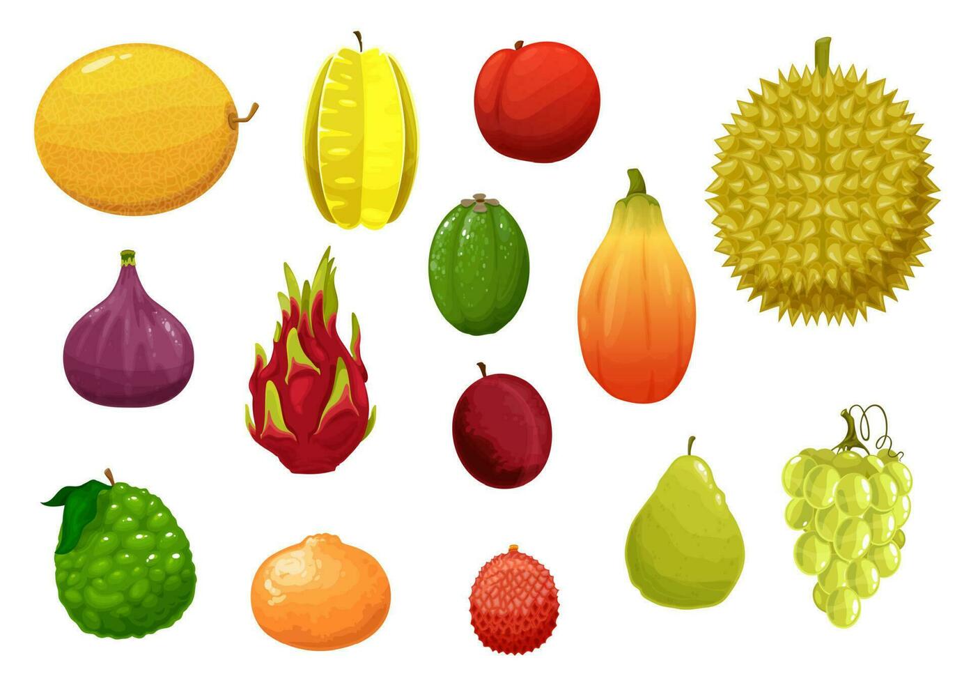 Ripe and fresh exotic fruits cartoon vector set