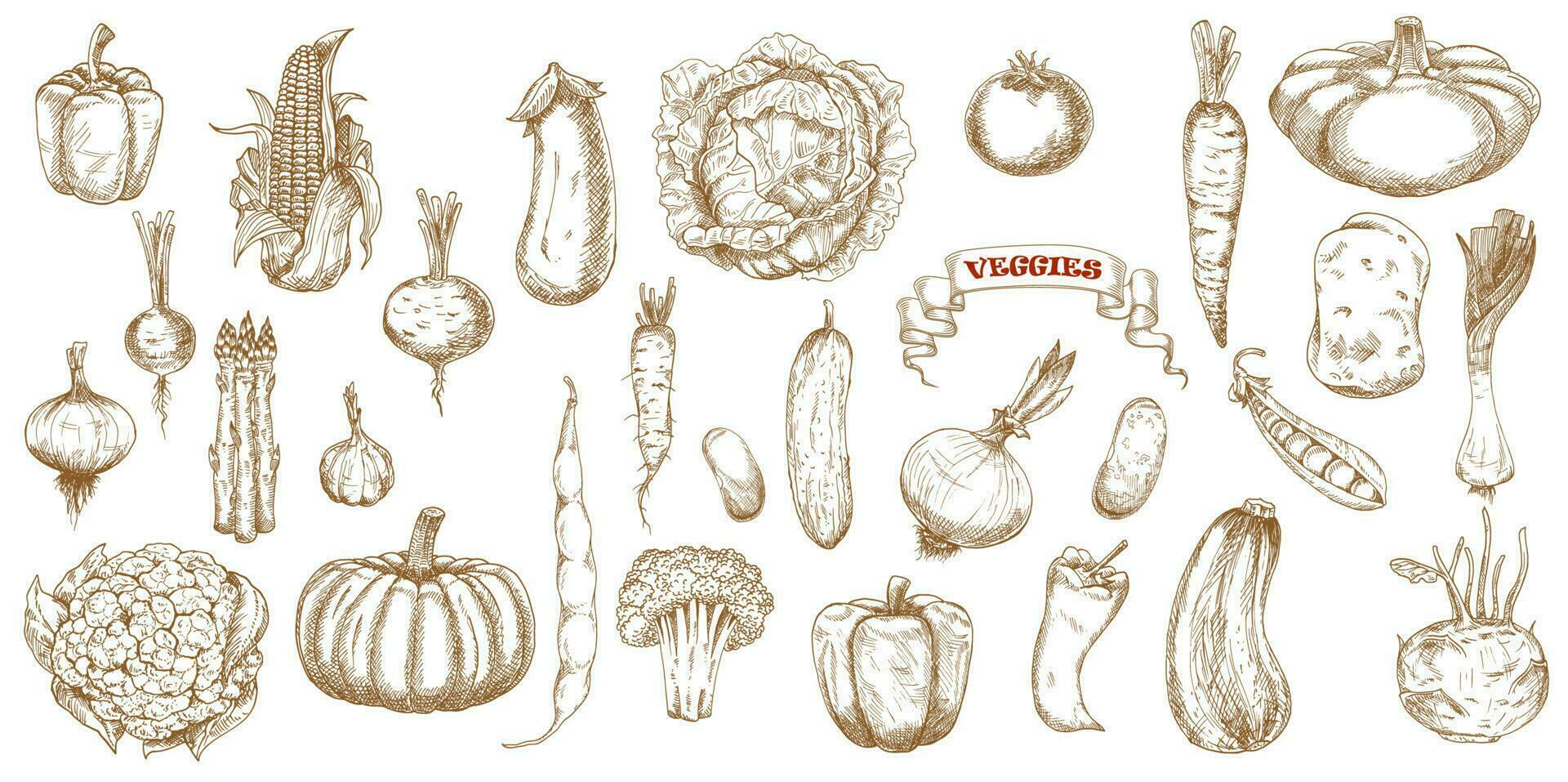 vegetales bosquejo comida granja garabatear íconos vector